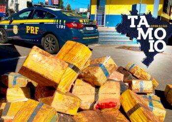 TAMOIO: PRF encerra maior operação de combate ao crime da instituição