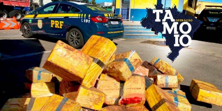 TAMOIO: PRF encerra maior operação de combate ao crime da instituição