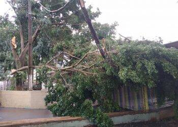 Vendaval destelhou 100 casas em Foz do Iguaçu