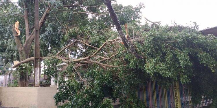 Vendaval destelhou 100 casas em Foz do Iguaçu