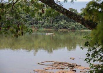 Pesca está liberada nas bacias do Paraná