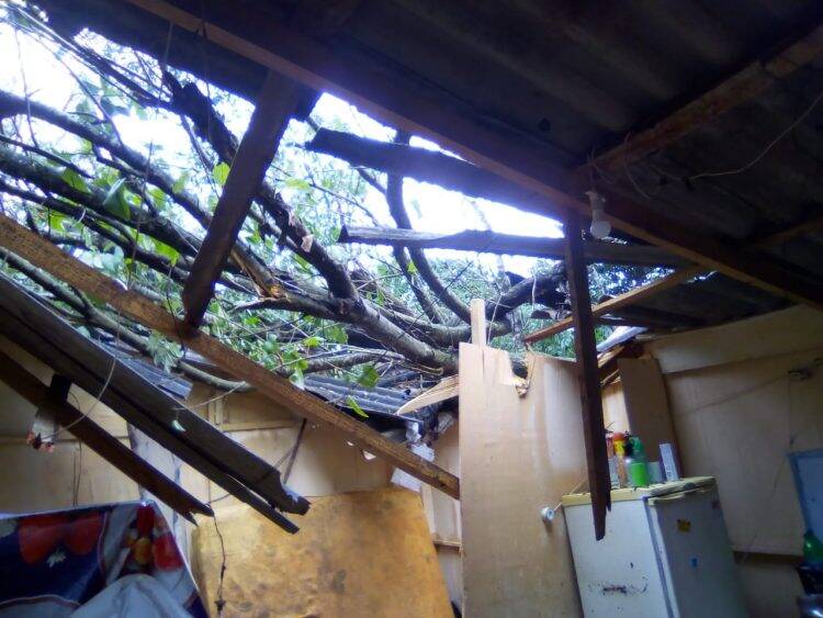 Mais de mil casas da Ocupação do Bubas foram atingidas pelo vendaval