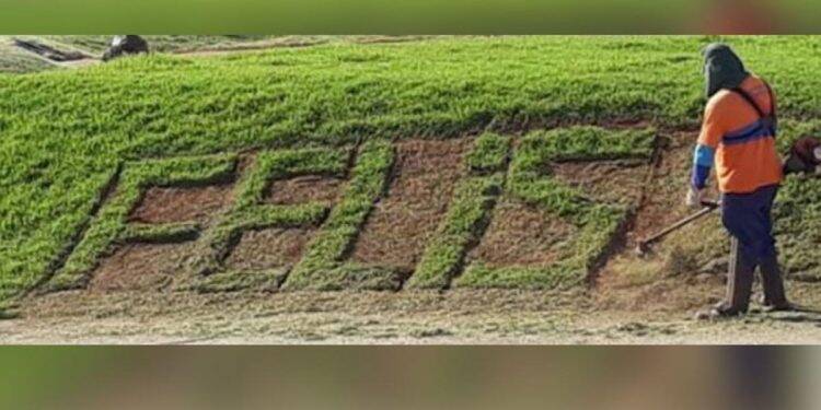 Morre jardineiro que escreveu ‘felis natal’ em praça de cidade