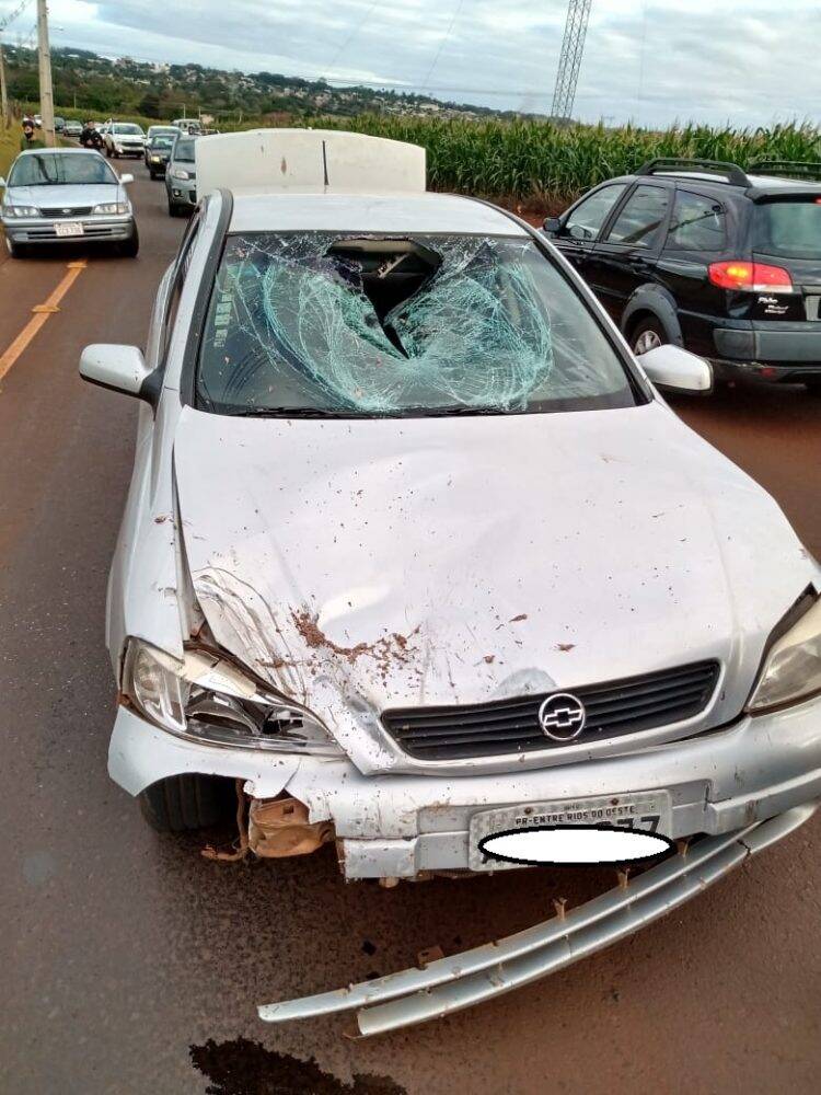 Mulher atropelada por motorista bêbado com tornozeleira está em estado grave