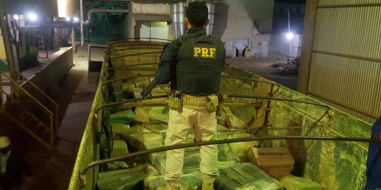 PRF apreende 11 toneladas de maconha no oeste do Paraná