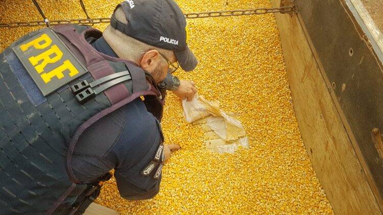 PRF apreende 11 toneladas de maconha no oeste do Paraná