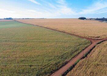 Em Santa Terezinha, prefeitura amplia programa de calçamento nas estradas rurais