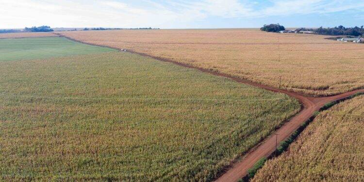 Em Santa Terezinha, prefeitura amplia programa de calçamento nas estradas rurais