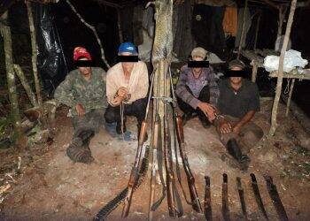 Caça e doenças: precisamos falar sobre isso