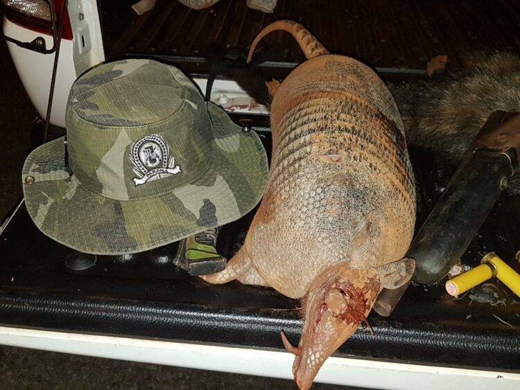 Caça e doenças: precisamos falar sobre isso