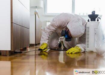 Surto de Covid-19 em empresas alerta para responsabilidade de empresários em Foz