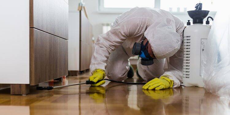 Surto de Covid-19 em empresas alerta para responsabilidade de empresários em Foz