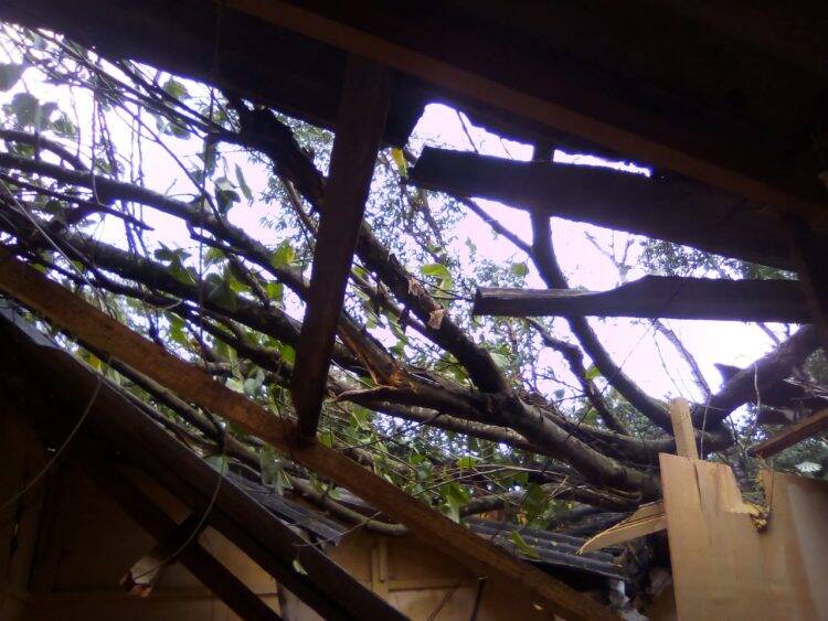 Mais de mil casas da Ocupação do Bubas foram atingidas pelo vendaval