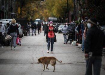 Argentina registra número recorde de casos de dengue