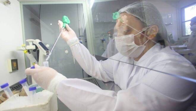 Adapar acompanha caso de H1N2, com potencial pandêmico, e orienta produtores