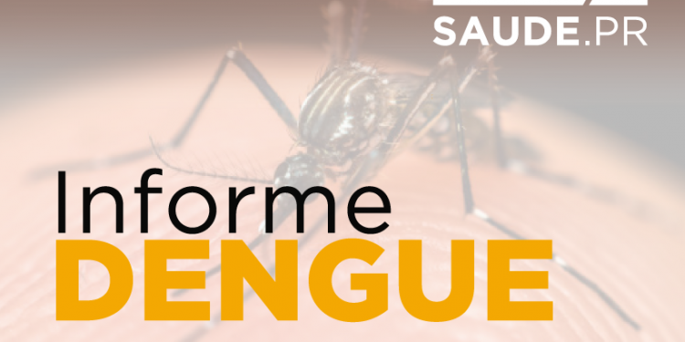 Paraná teve 227.724 casos de Dengue e 177 óbitos em um ano