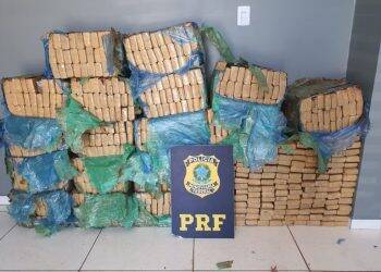 Em fim de semana gelado, PRF apreende quase uma tonelada de maconha no Paraná