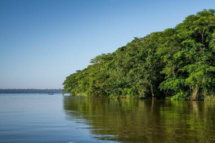 Itaipu e Conselho dos Lindeiros lançam concurso de memes ambientais