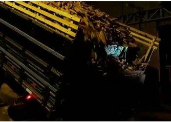 PRF apreende contrabando escondido sob carga de mandioca