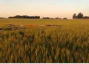 Queda de parapente deixa duas pessoas gravemente feridas em Foz