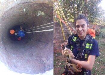 Bombeiros de Iguazú salvam gatinho caído em poço de 15 metros