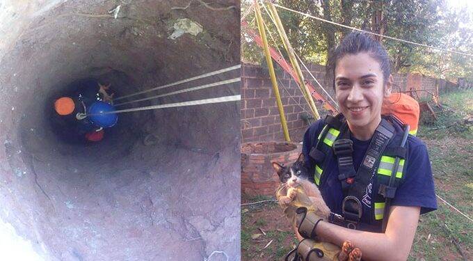 Bombeiros de Iguazú salvam gatinho caído em poço de 15 metros