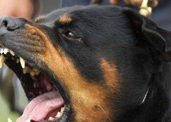 Foz registra 40 novos casos de Coronavírus em 24 horas