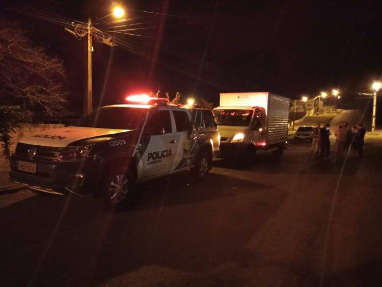 Onça parda é capturada em porão de residência, em Quedas do Iguaçu