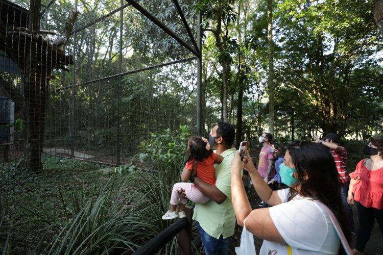Refúgio Biológico e Ecomuseu, da Itaipu, reabrem na véspera do feriado prolongado