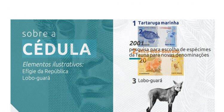 Nova cédula de R$ 200 entra em circulação na quarta-feira