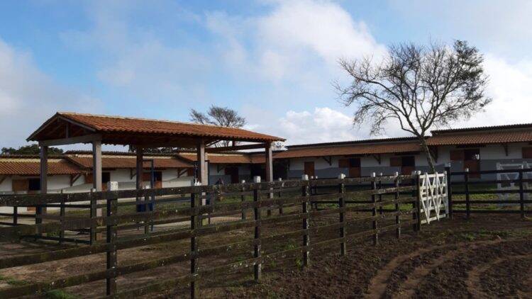 Operação Além Mar: PF apreende 7 aviões, 5 helicópteros, 42 caminhões e fazendas