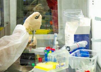 Anvisa autoriza mudanças em teste da vacina de Oxford