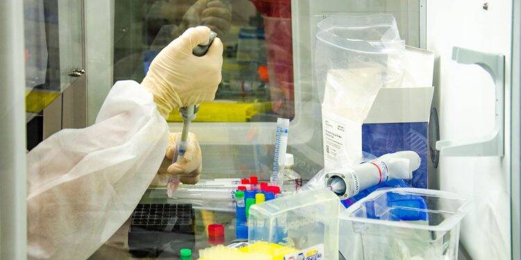 Anvisa autoriza mudanças em teste da vacina de Oxford