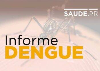 Foz do Iguaçu lidera casos de Dengue no Paraná