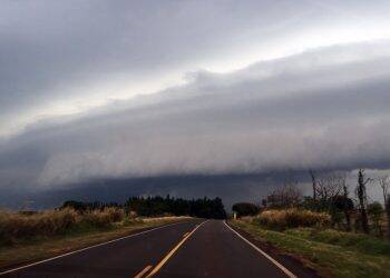 Ventos fortes causaram quedas de árvores no Paraná
