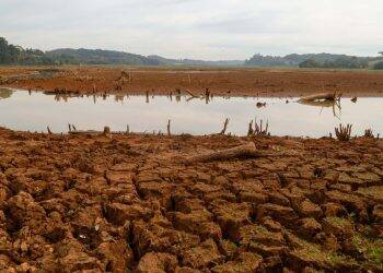 Estiagem no Paraná pode perdurar até fevereiro de 2021