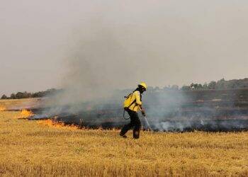 Incêndio atinge 30 hectares de área de plantação em Minga Guazú, no Paraguai