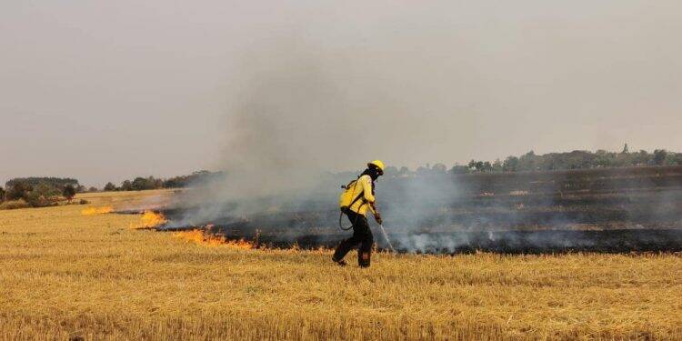 Incêndio atinge 30 hectares de área de plantação em Minga Guazú, no Paraguai