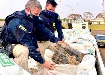 PRF apreende 3,5 toneladas de maconha em Céu Azul