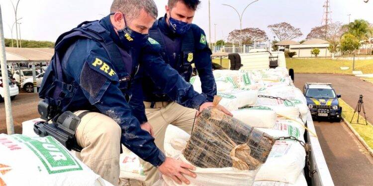 PRF apreende 3,5 toneladas de maconha em Céu Azul