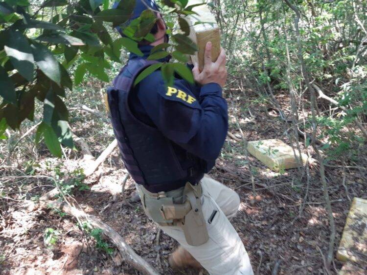 No fim de semana, PRF apreende 297 quilos de maconha e cerca de 50 mil maços de cigarro no Paraná
