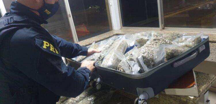 No fim de semana, PRF apreende 297 quilos de maconha e cerca de 50 mil maços de cigarro no Paraná