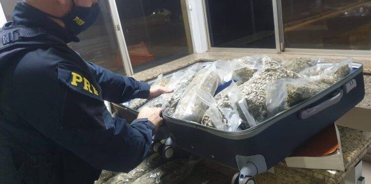 No fim de semana, PRF apreende 297 quilos de maconha e cerca de 50 mil maços de cigarro no Paraná