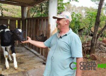 Com tecnologia e tecnificação, irmãos administram propriedade da família como empresa