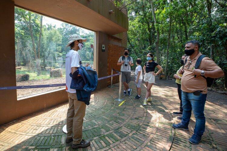 Itaipu vai investir R$ 202,5 mil para capacitar 150 guias de turismo