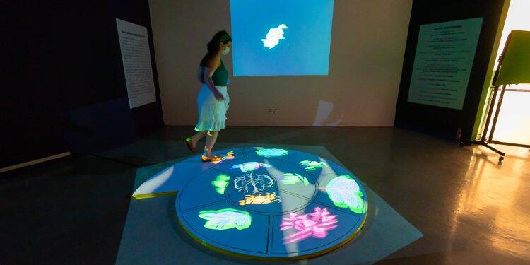 Duas novas exposições do Ecomuseu de Itaipu são opções para este fim de semana