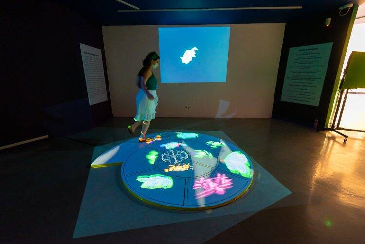 Duas novas exposições do Ecomuseu de Itaipu são opções para este fim de semana
