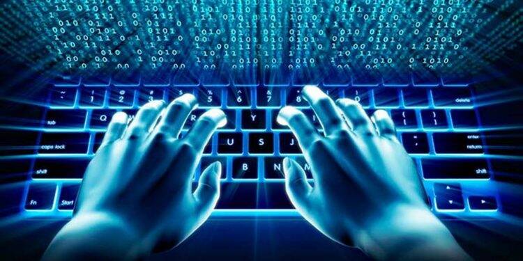 Pesquisa mostra aumento significativo de crimes na internet