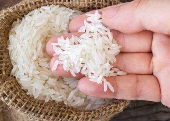 Não é só o arroz: os preços de alimentos vão continuar subindo nos próximos meses?