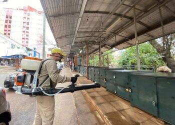 Desinfectam camelôs do centro de Cidade do Leste